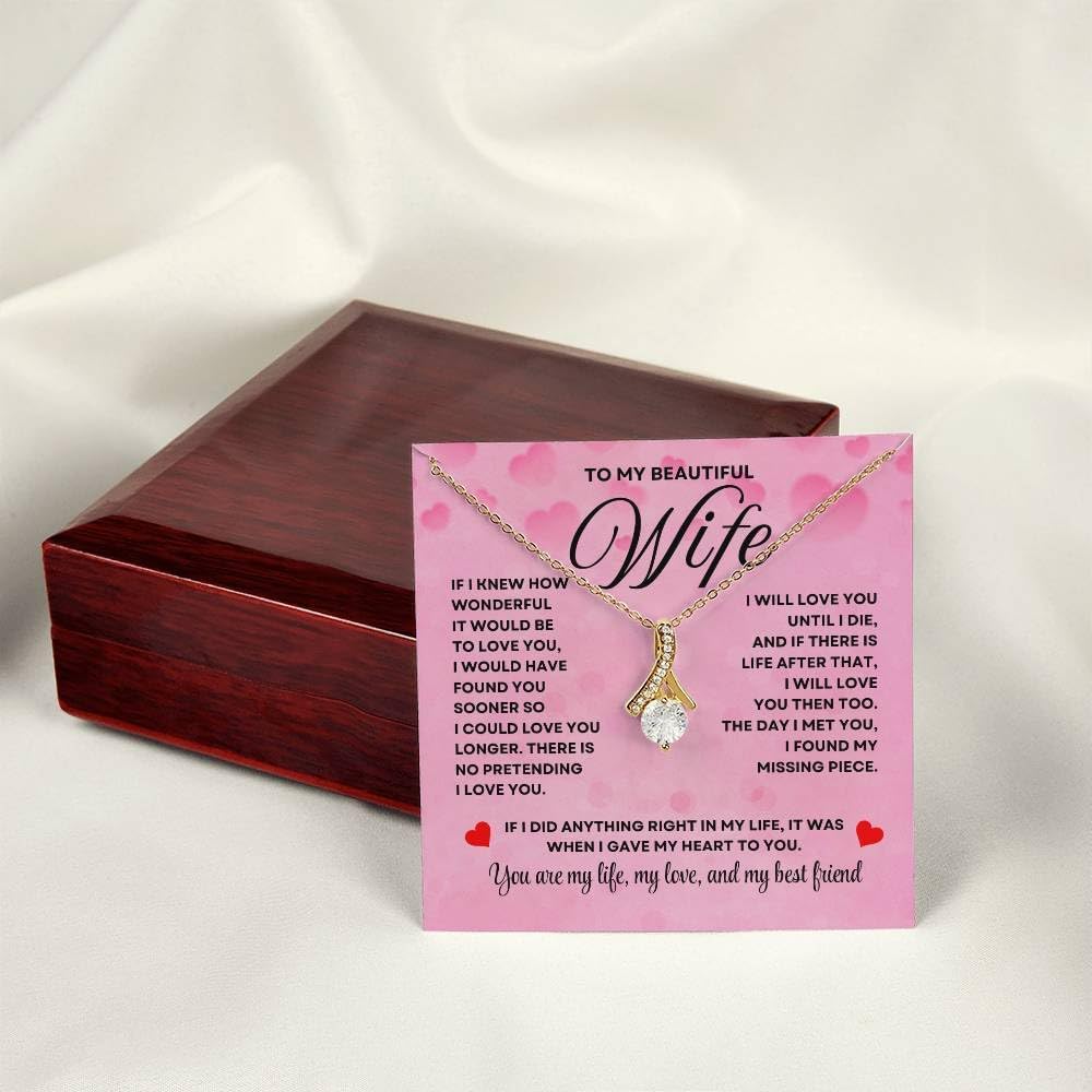 Anniversary Card, Wife Appreciation And Romantic Gifts, Jewelry Box, Necklace From Husband, Birthday Gift Ideas for Women, Stainless Steel, Cubic Zirconia