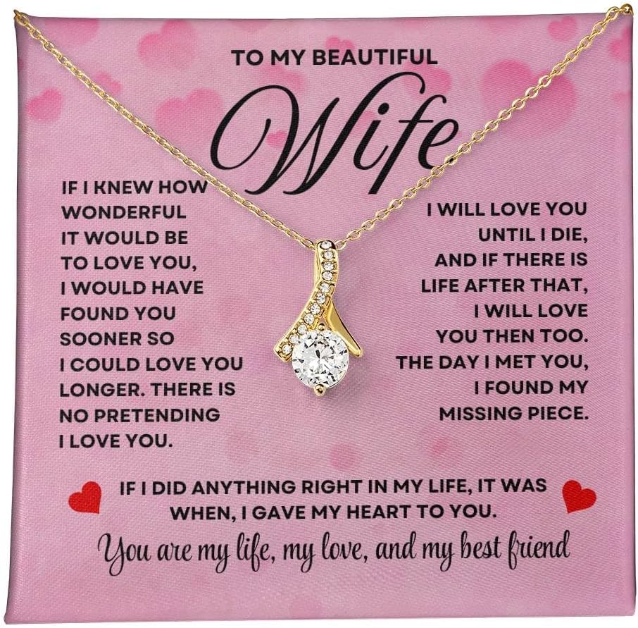 Anniversary Card, Wife Appreciation And Romantic Gifts, Jewelry Box, Necklace From Husband, Birthday Gift Ideas for Women, Stainless Steel, Cubic Zirconia