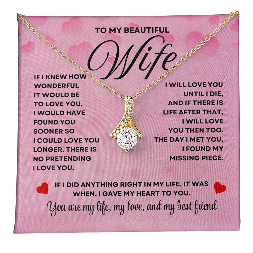 Anniversary Card, Wife Appreciation And Romantic Gifts, Jewelry Box, Necklace From Husband, Birthday Gift Ideas for Women, Stainless Steel, Cubic Zirconia