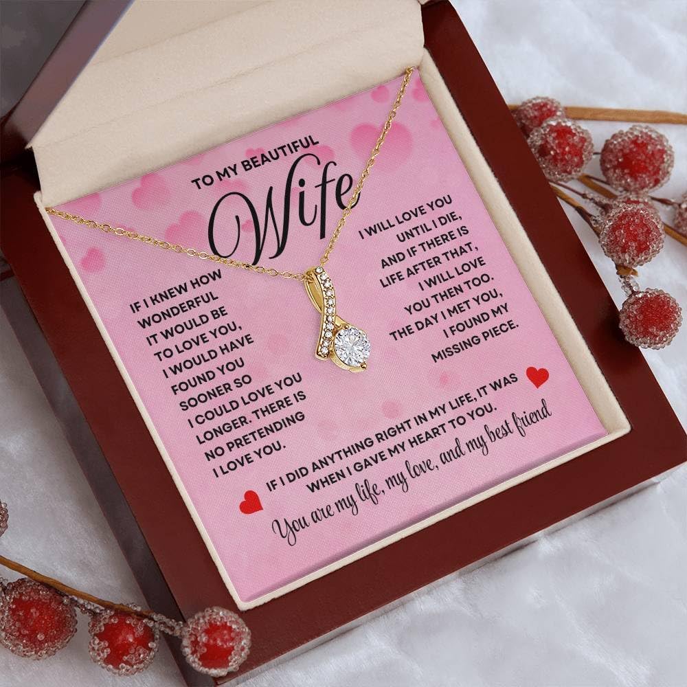 Anniversary Card, Wife Appreciation And Romantic Gifts, Jewelry Box, Necklace From Husband, Birthday Gift Ideas for Women, Stainless Steel, Cubic Zirconia