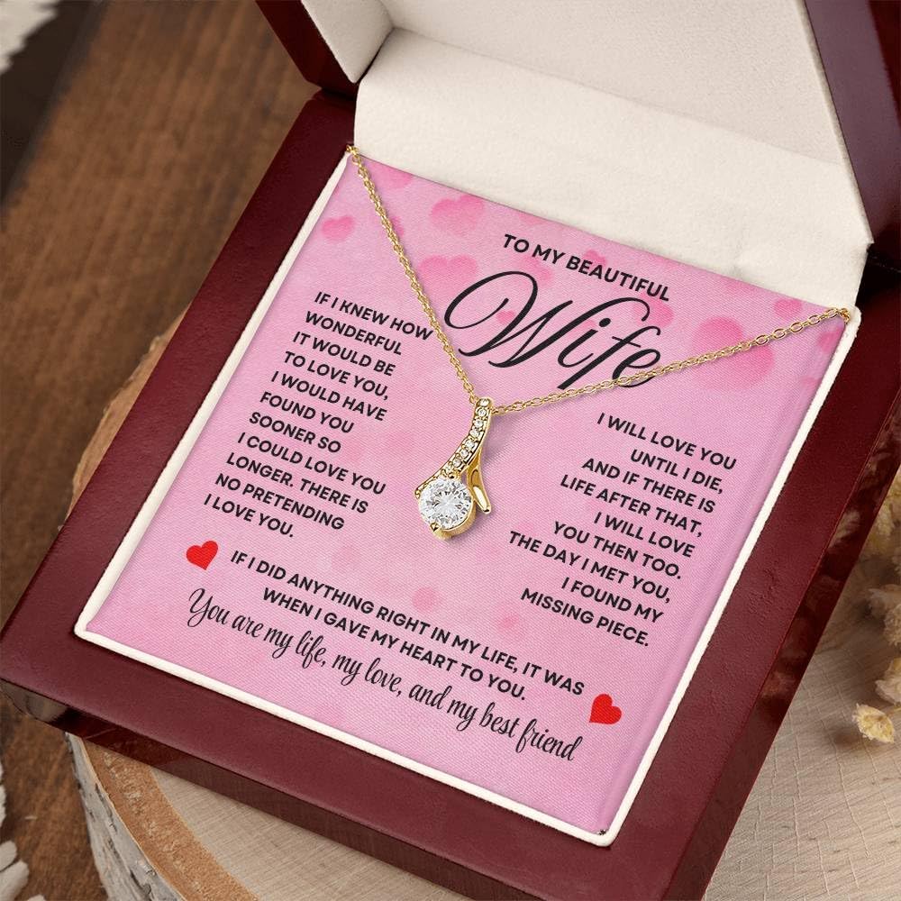 Anniversary Card, Wife Appreciation And Romantic Gifts, Jewelry Box, Necklace From Husband, Birthday Gift Ideas for Women, Stainless Steel, Cubic Zirconia