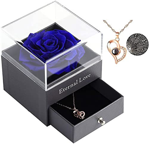 Real Rose with I Love You Necklace