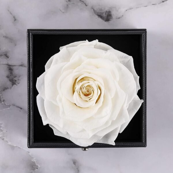 Necklace With Preserved Rose (White) - Image 2