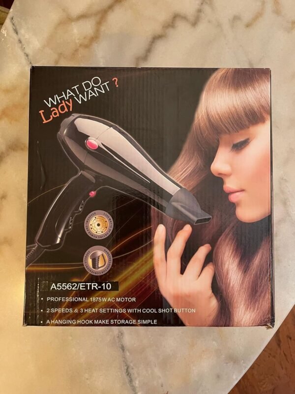 Pro Iconic Hair Dryer - Image 2